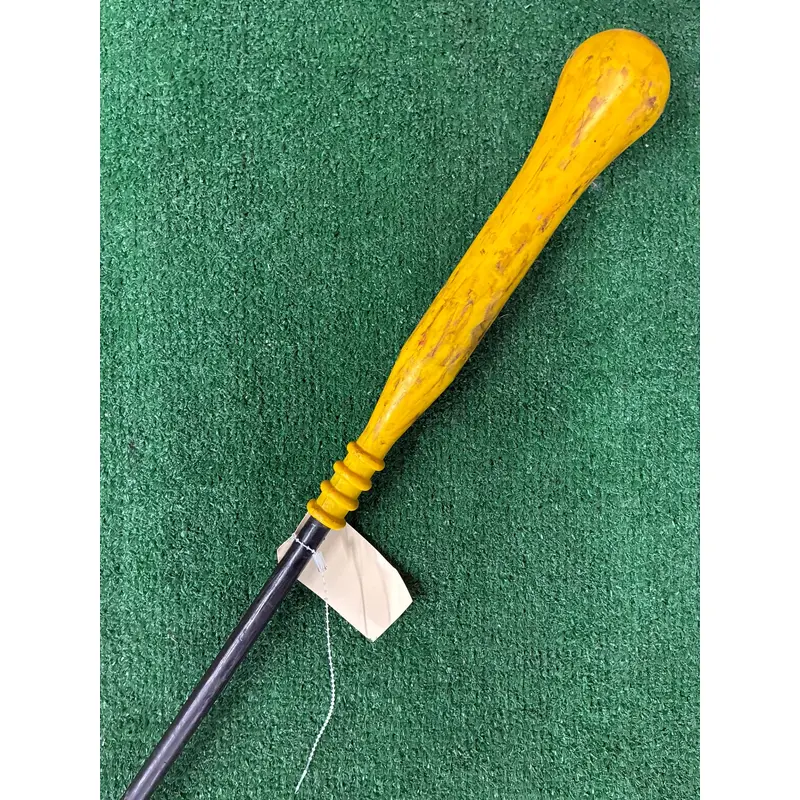 Sklz Swing Trainer