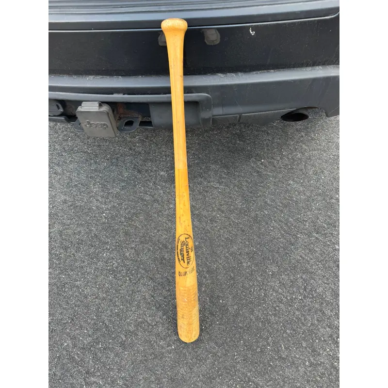 Baseball Training Bat