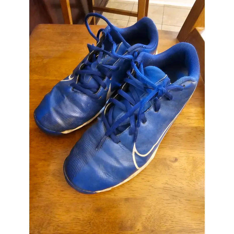 Blue Used Size 5.5  Youth Nike Low Top