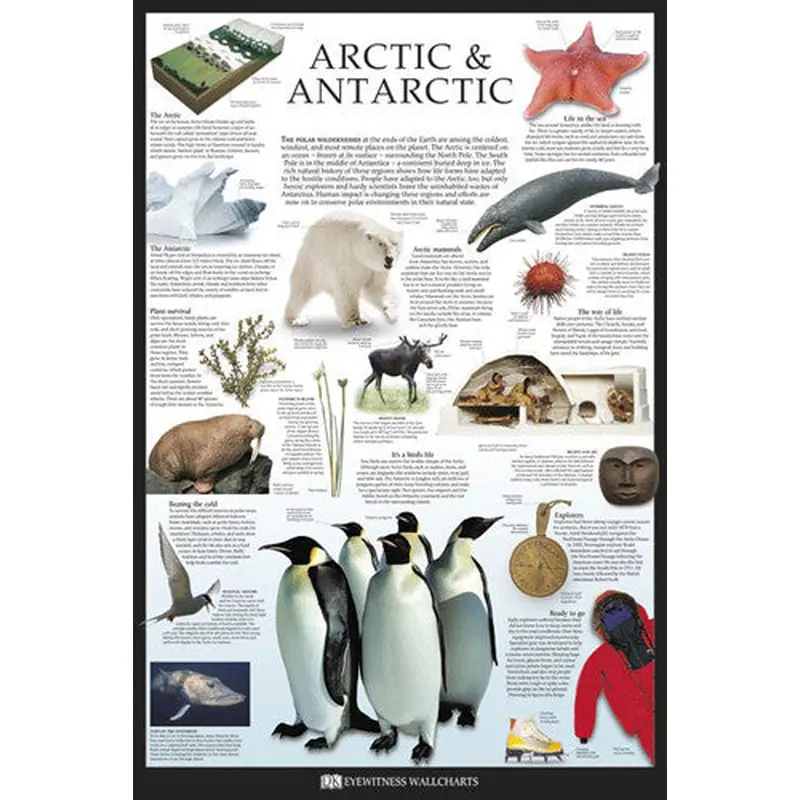 Arctic and Antarctic Educational Poster - DK Eyewitness Wallcharts/Pyramid