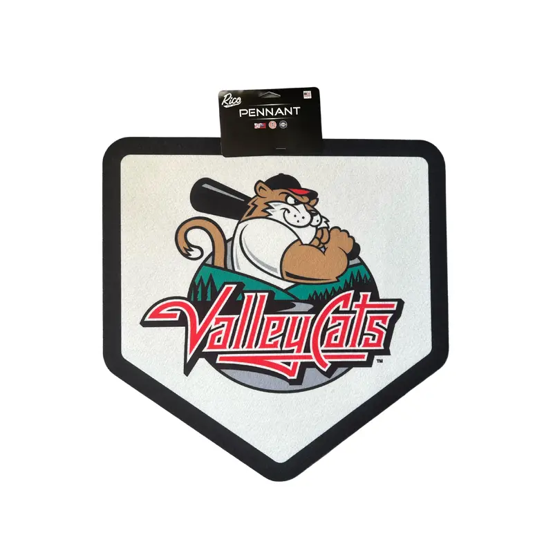 ValleyCats Pennants