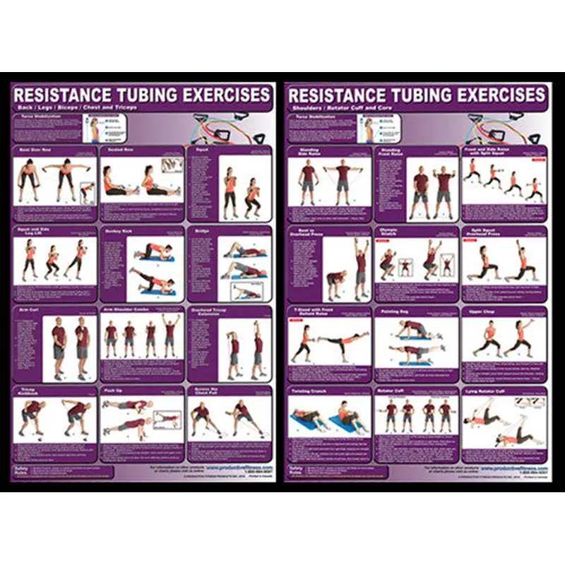 Resistance Tubing Bands Exercises Professional Fitness Wall Charts 2-Poster Combo