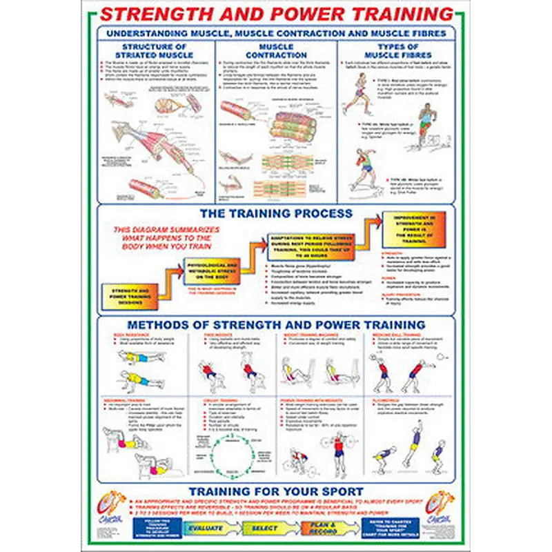 Strength and Power Training Instructional Wall Chart - Chartex Ltd.