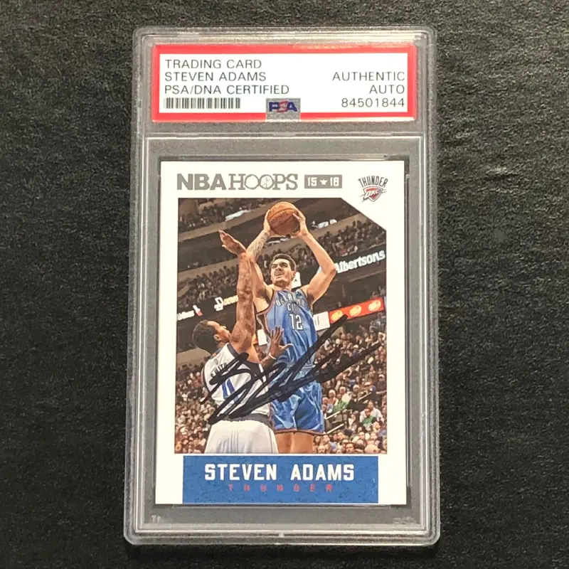 2015-16 NBA Hoops #258 Steven Adams Signed Card Auto PSA/DNA Slabbed Thunder
