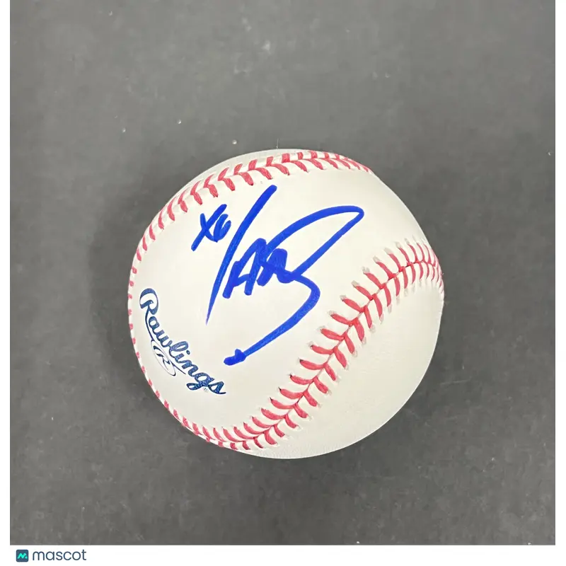 Ian Somerhalder Signed Baseball JSA Actor Lost
