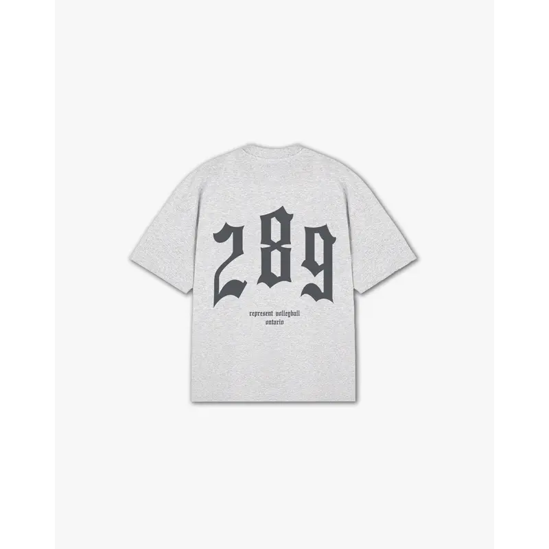 THE (289) VANQUISH VOLLEYBALL V2 ELITE TEE