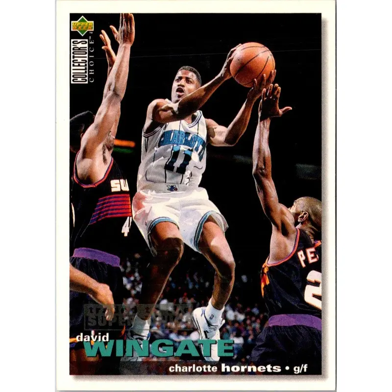 1995 Collector's Choice Stickers Charlotte Hornets #111