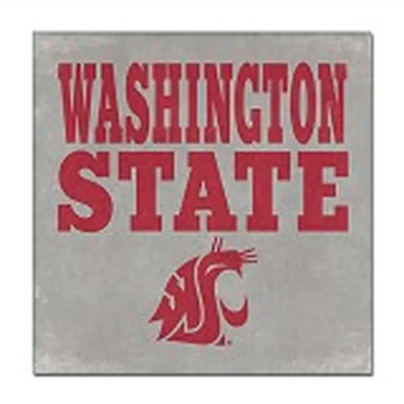 Washington State 14x14 Canvas Wall Art