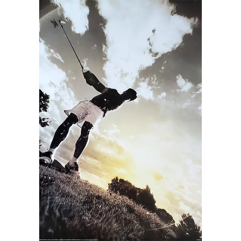 Golf "Ball's Eye View" Action Poster - Verkerke Posters