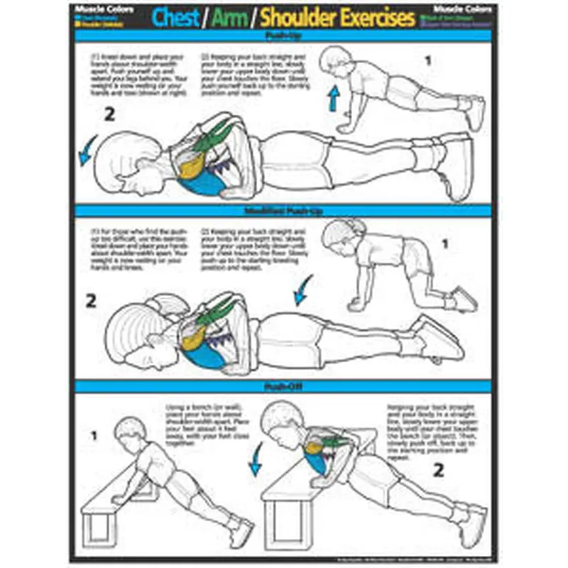 Kids Chest, Arm, Shoulder Exercises Fitness Wall Chart Poster - Fitnus Posters Inc.