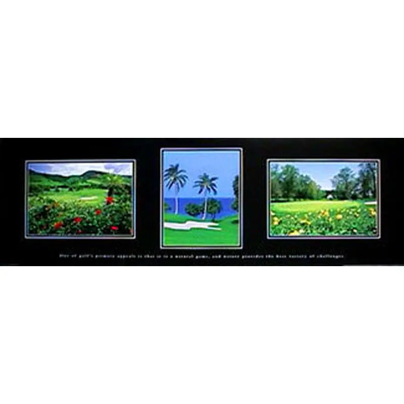 Golf Motivational Triptych "The Natural Game" Poster - Front Line 1998