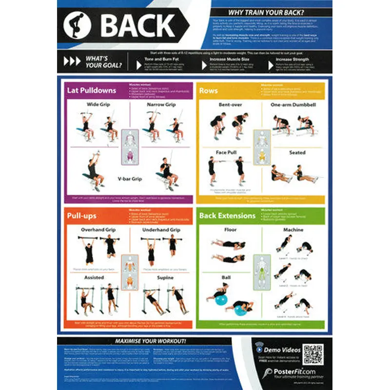 Back Workout Professional Fitness Training Wall Chart Poster (w/QR Code) - PosterFit