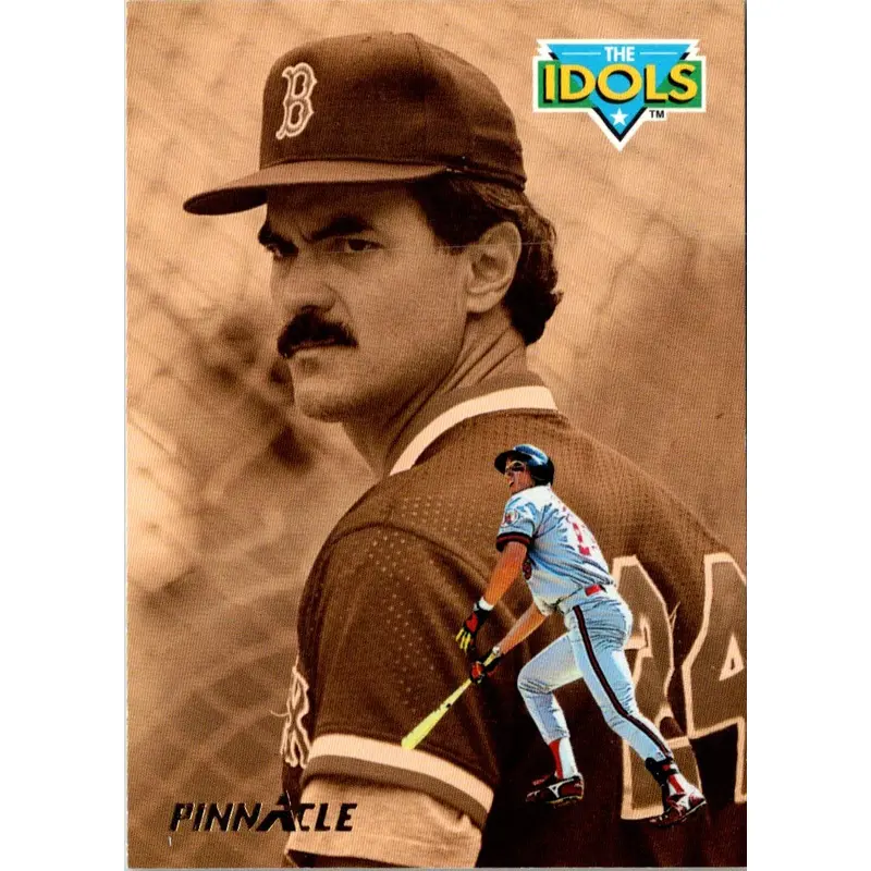 1993 Pinnacle Tim Salmon/Dwight Evans #303