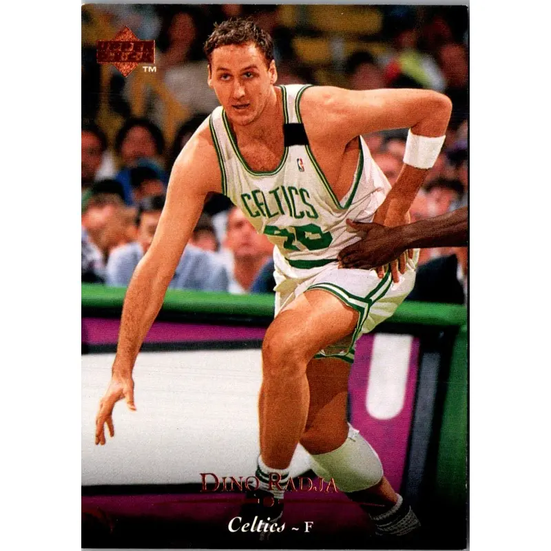 1995 Upper Deck Dino Radja #19