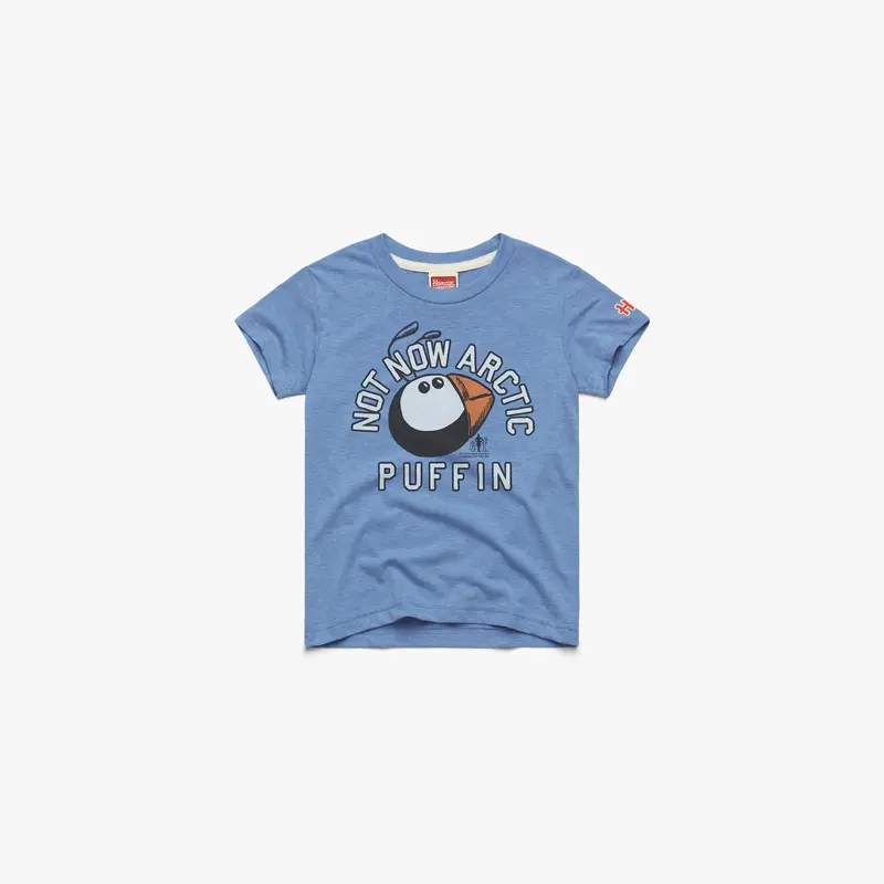 Youth Not Now Arctic Puffin