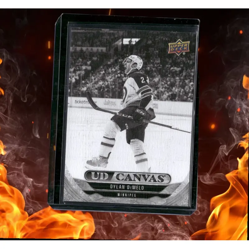 2024-25 Upper Deck Dylan DeMelo Canvas Black & White #C147