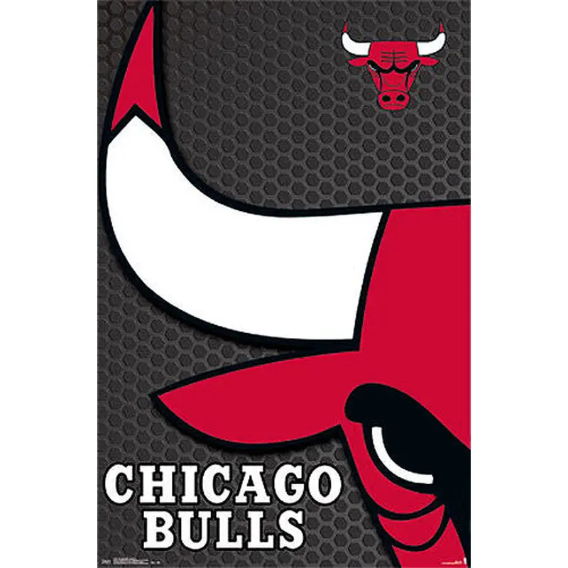 Chicago Bulls Official NBA Basketball Team Logo Poster - Costacos Sports
