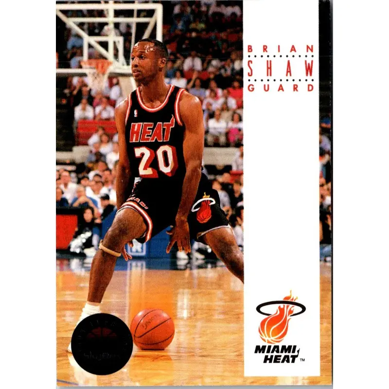 1993 SkyBox Brian Shaw #243
