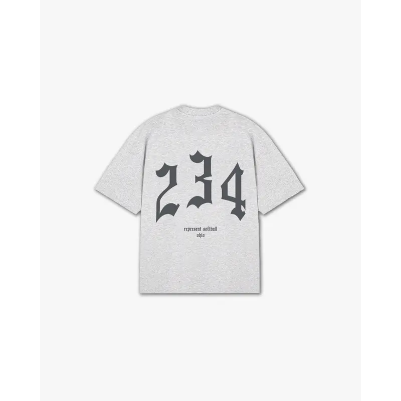 THE (234) VANQUISH SOFTBALL V2 ELITE TEE