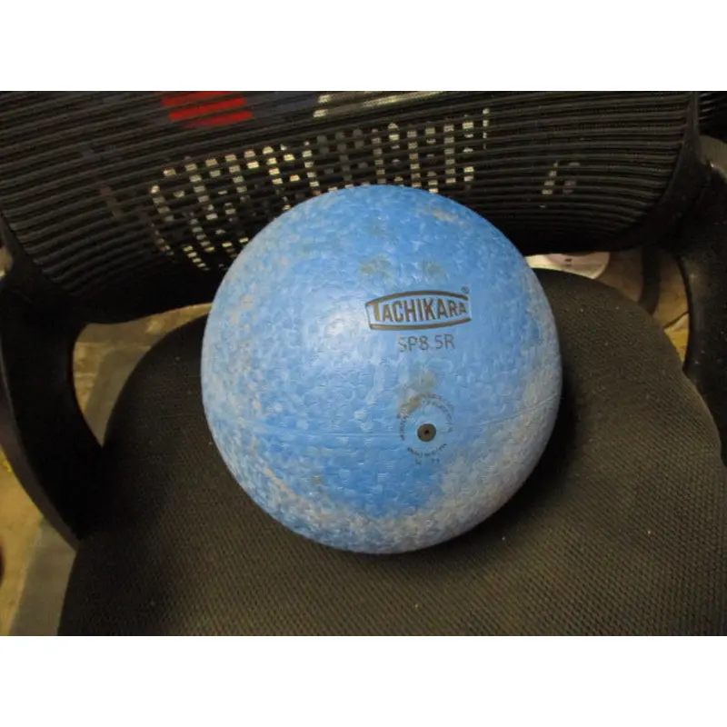 Used Tachikara SP8.5R Blue Playground Ball