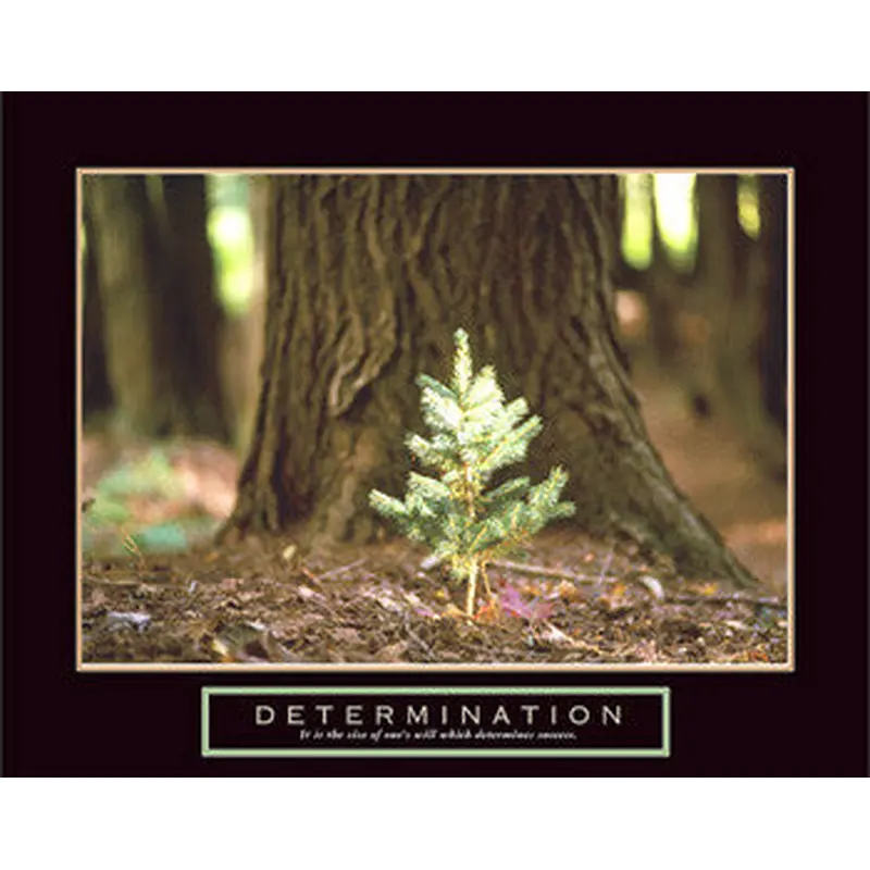 Little Pine Tree "Determination" Motivational Poster - Front Line
