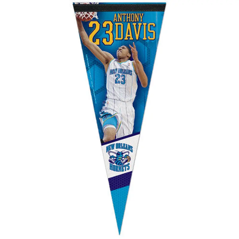 Anthony Davis "Launch" New Orleans Hornets Premium Felt Collector's Pennant - Wincraft