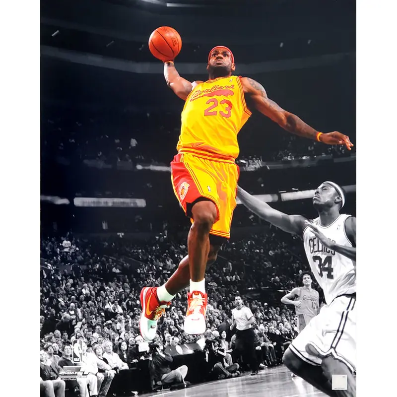 LeBron James "Spotlight" (2009) Cleveland Cavaliers Premium Poster - Photofile 16x20