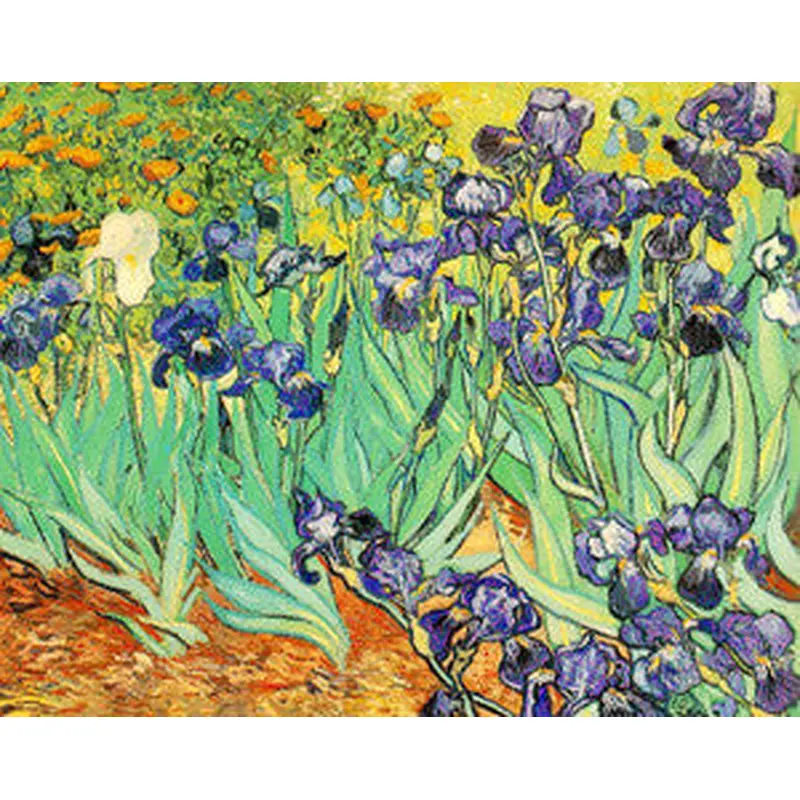 Irises (1889) by Vincent Van Gogh 16x20 Art Print - Eurographics
