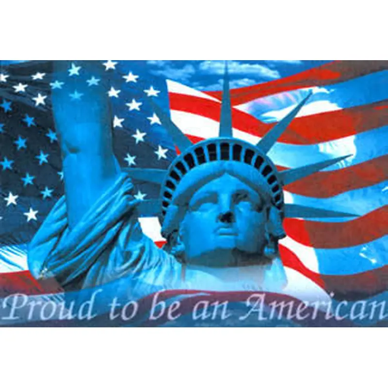 "Proud to be an American" - Image Source 2001