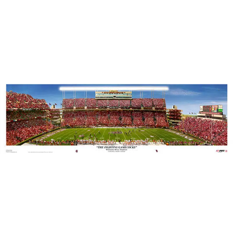 South Carolina "The Fighting Gamecocks" Gameday Panorama - USA 2010