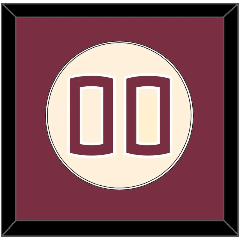 Florida State Baseball Number - Alternate Gold (2016-2018) - Single Mat 2