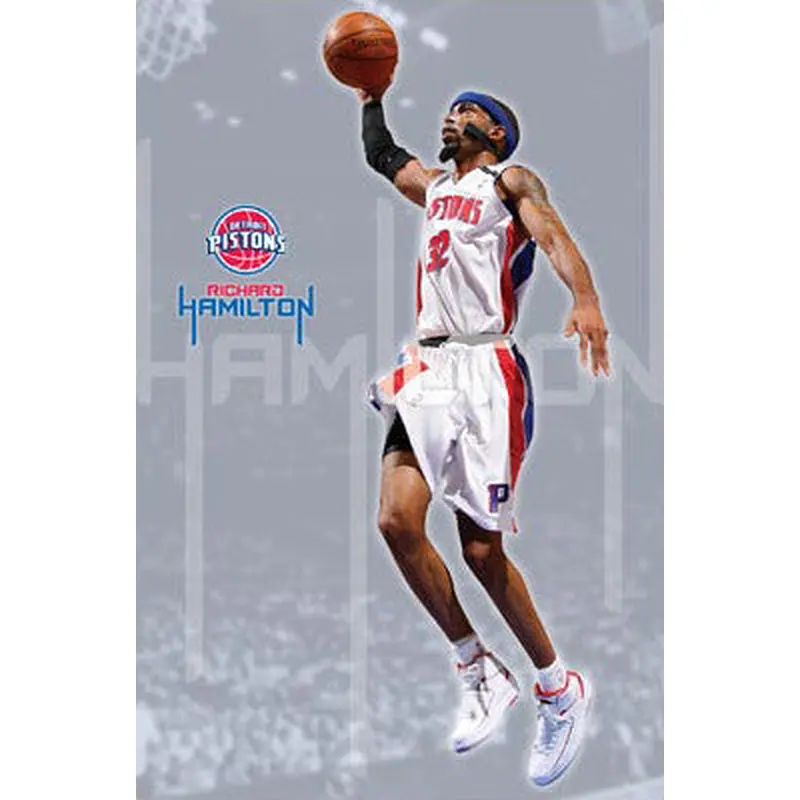 Richard Hamilton "Flight" Detroit Pistons Poster - Costacos 2008